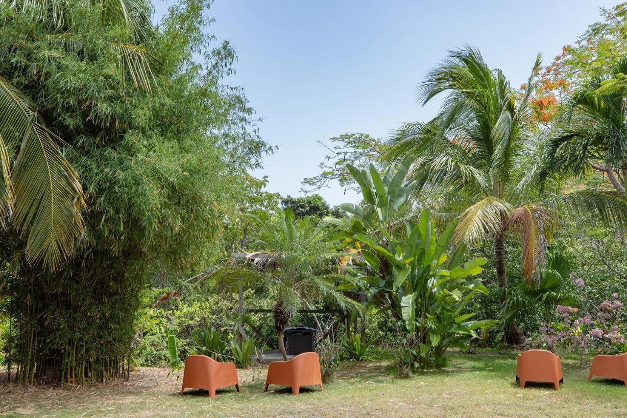 Vieques Tropical Guest House Экстерьер фото
