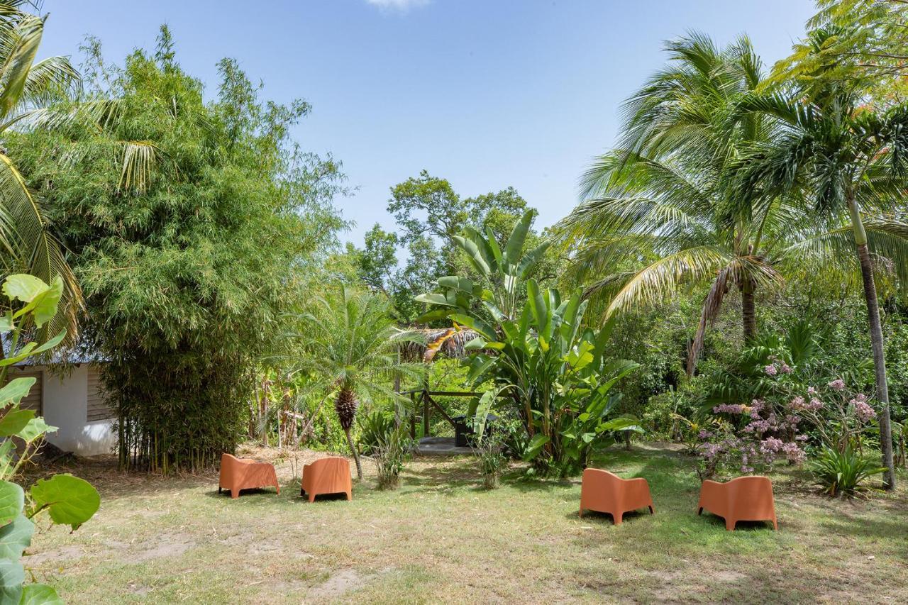 Vieques Tropical Guest House Экстерьер фото